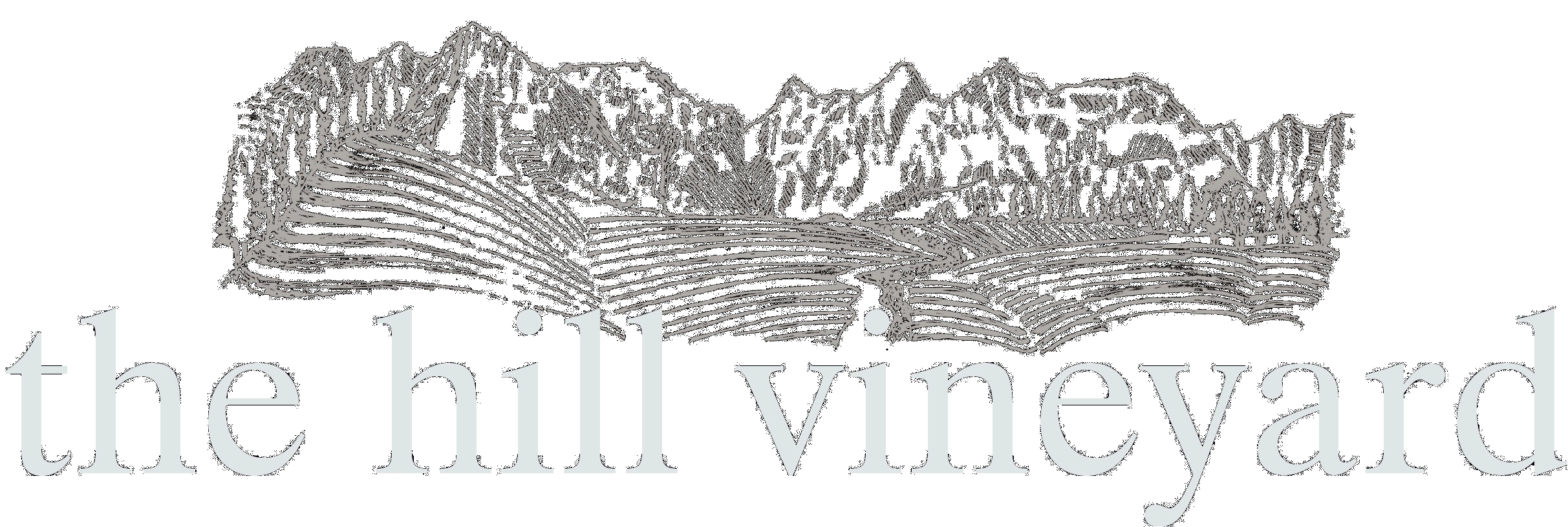 The Hill Vineyard